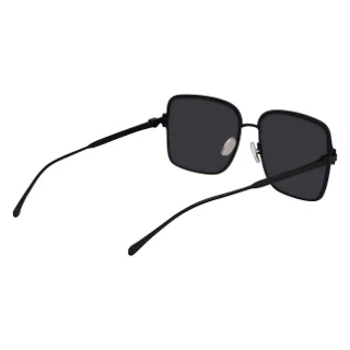 Salvatore Ferragamo Sunglasses SF317S