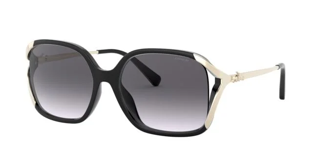 Coach Sunglasses HC8280U