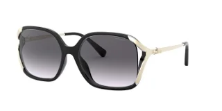 Coach Sunglasses HC8280U