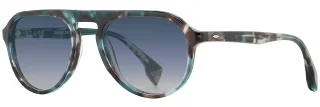 C02 Bluejay