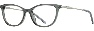 C02 Gray/Silver