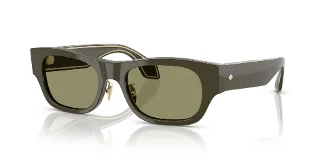 61582A Green Icon