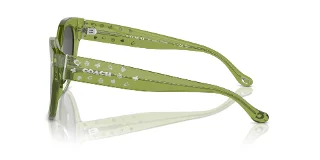 Coach Sunglasses HC8393U