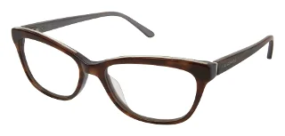 TOR Tortoise