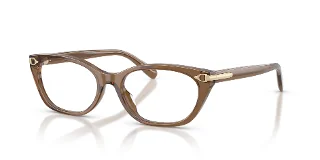 6377 Transparent Dusty Brown