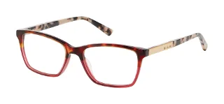 TOR Tortoise Burgundy