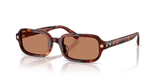 593873 Walnut Tortoise