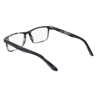 Dragon Eyeglasses DR7017