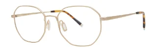 Paradigm Eyeglasses 21-01