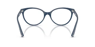 Jimmy Choo Eyeglasses JC3047