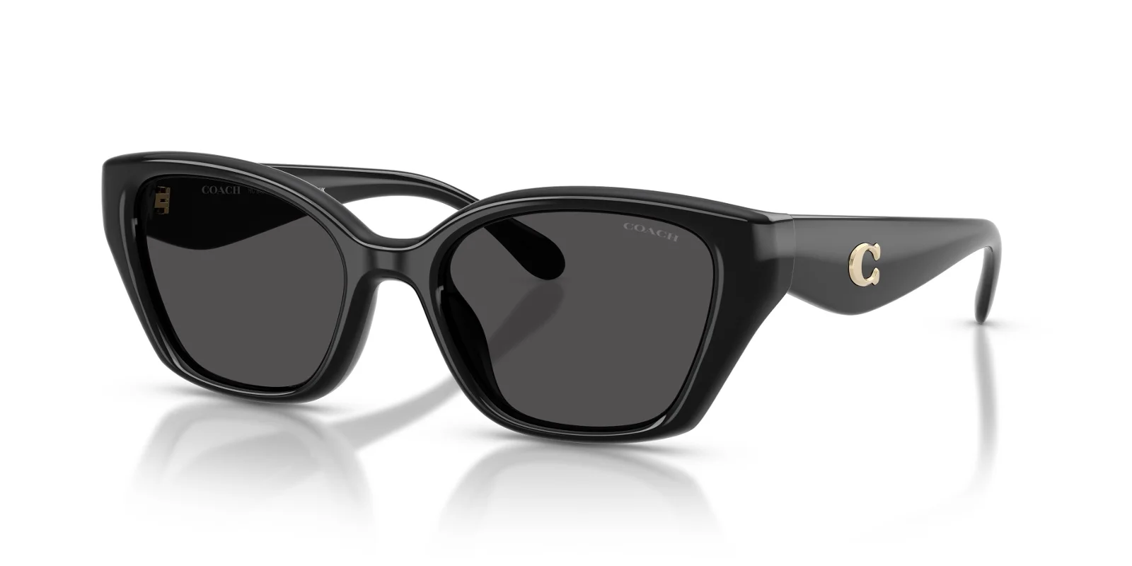 Coach Sunglasses HC8434U