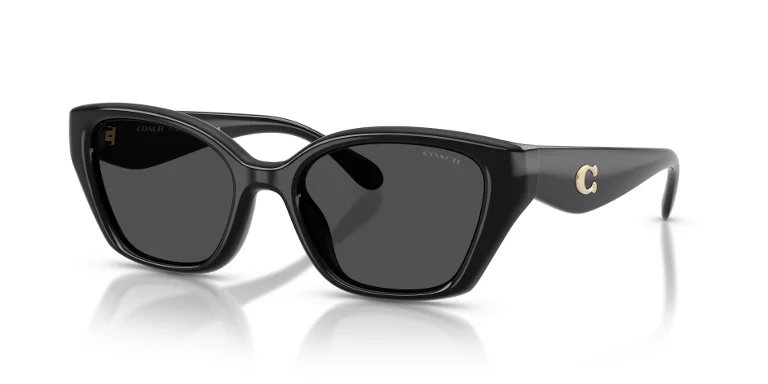 Coach Sunglasses HC8434U