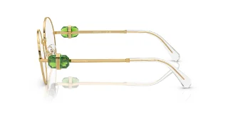 Swarovski Eyeglasses SK1001