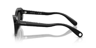 Swarovski Sunglasses SK6061U
