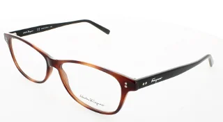 241 Tortoise/Black