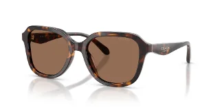 512073 Dark Tortoise