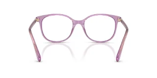 Swarovski Eyeglasses SK2002