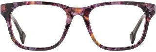 State Optical Eyeglasses Delilah