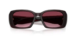 Coach Sunglasses HC8435U