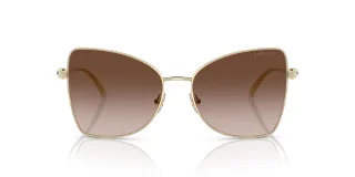Jimmy Choo Sunglasses JC4010B