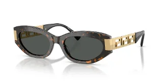552887 Brown Tortoise