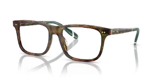 5017 Shiny Brown Tortoise