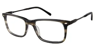 C03 Grey Horn