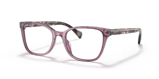 6008 Shiny Transparent Violet