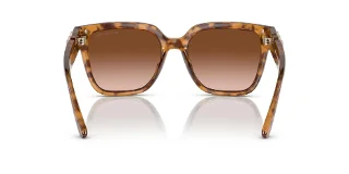Michael Kors Sunglasses MK2170U