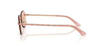 Jimmy Choo Sunglasses JC4022J