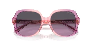 Coach Sunglasses HC8395F