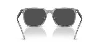Coach Sunglasses HC8411U