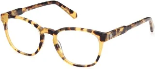 053 Blonde Havana