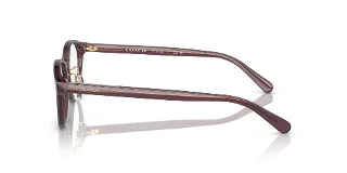 Coach Eyeglasses HC6152D
