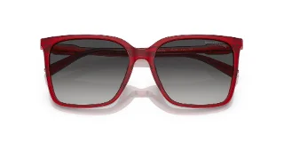 Michael Kors Sunglasses MK2197F