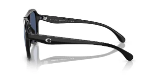 Coach Sunglasses HC8406U