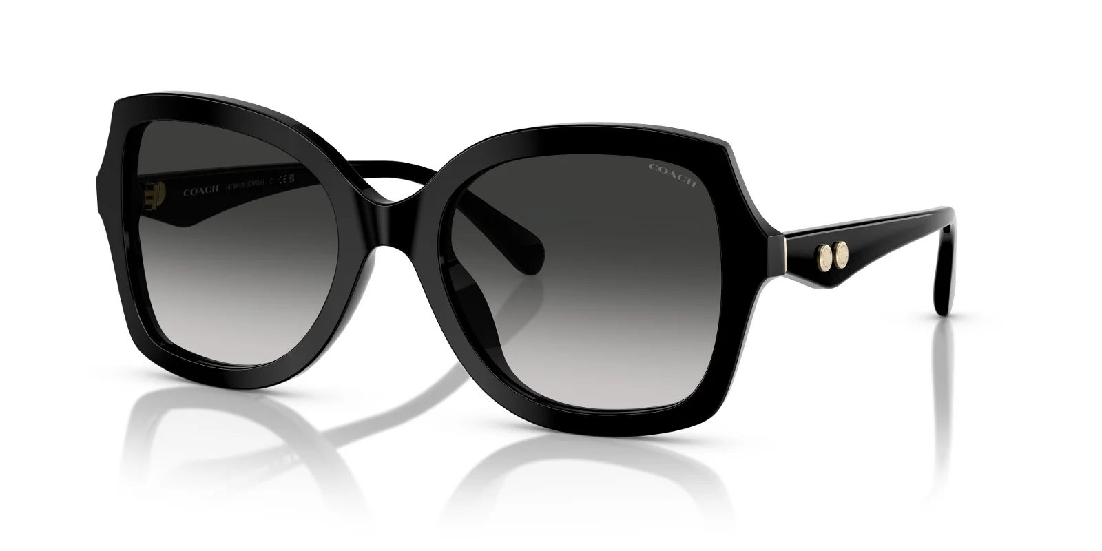 Coach Sunglasses HC8410U