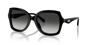 Coach Sunglasses HC8410U