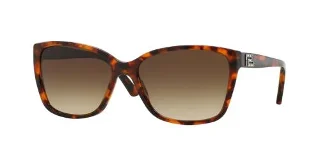 507413 Amber Havana