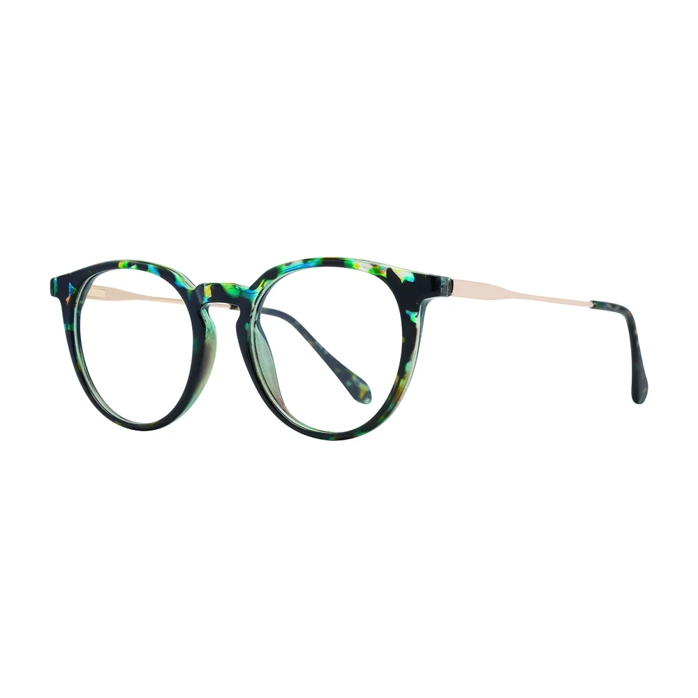 Georgetown Eyeglasses GTN815