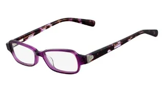 Nike Eyeglasses 5520