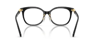 Swarovski Eyeglasses SK2055F