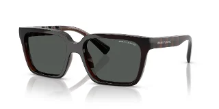 835887 Shiny Transparent Brown