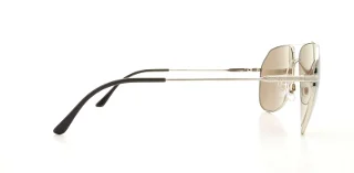 Dolce & Gabbana Sunglasses DG2129