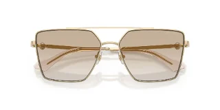 Jimmy Choo Sunglasses JC4016HB