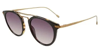 Black Tortoise