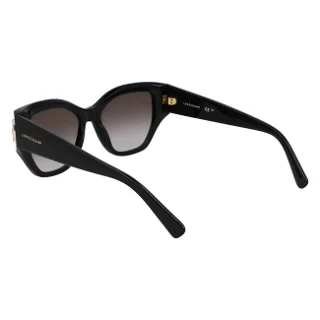 Longchamp Sunglasses LO764S