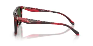 Coach Sunglasses HC8440U