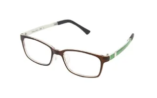 106 Tortoise Brown