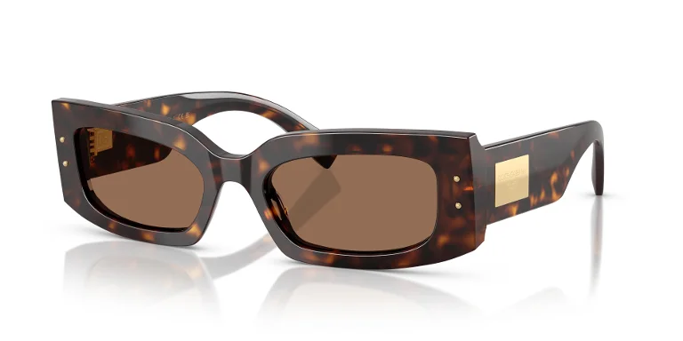 Dolce & Gabbana Sunglasses DG4479F